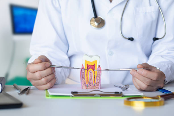 Best Emergency Dentist for Special Needs Patients in Wapello, IA
